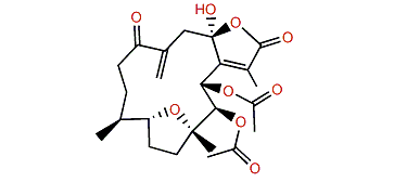 Pachyclavulariolide K